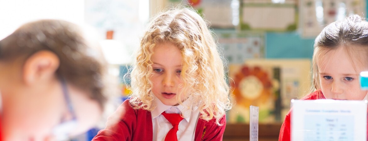 Welcome to the new Our Lady of Mount Carmel Catholic First&nbsp;School website.